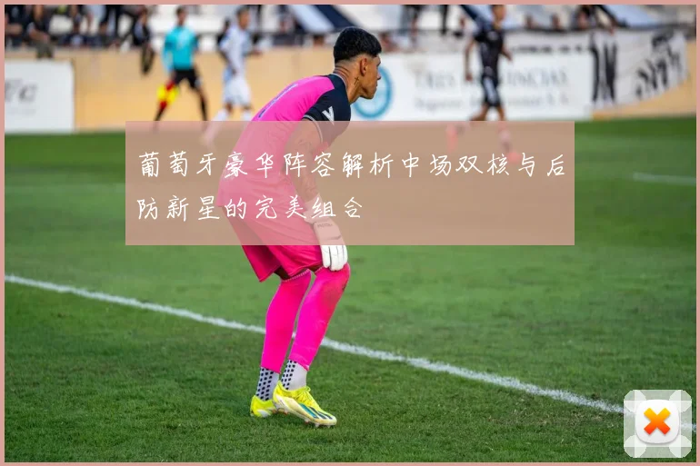 葡萄牙豪华阵容解析中场双核与后防新星的完美组合